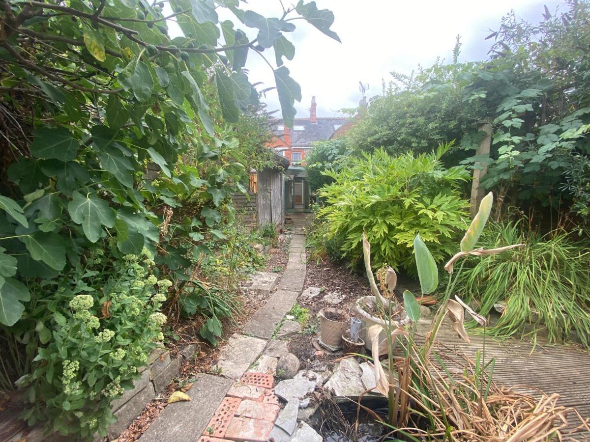 The Dragonfly Bnb, Glastonbury Ngoại thất bức ảnh